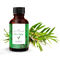 Naturalne olejki eteryczne z drzewa herbacianego Wyciągi z apteki Bez dodatków do pielęgnacji skóry